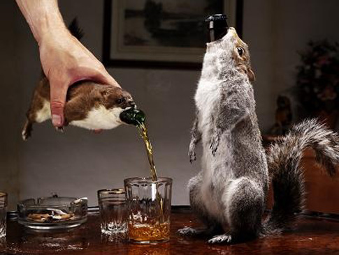 squirrel beer cozy