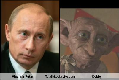 dobbyputin1217