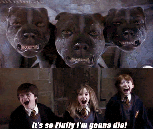 Harry Potter Fluffy I'm Gonna Die