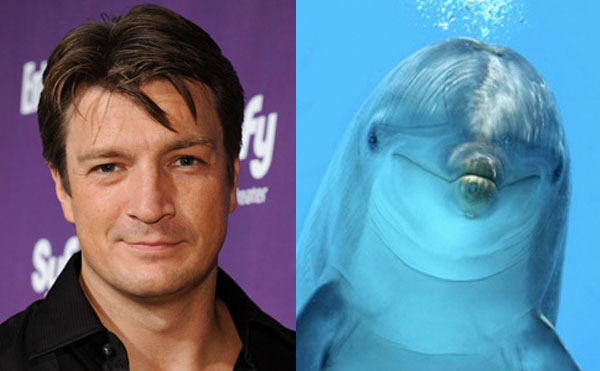 Fillion9Dolphin