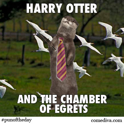 Pun of the Day Harry Potter Otter 