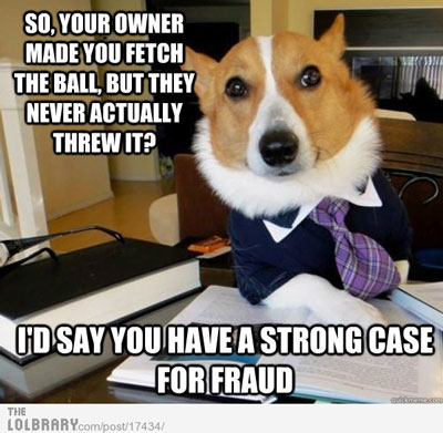 dog-meme-lawyer-corgi