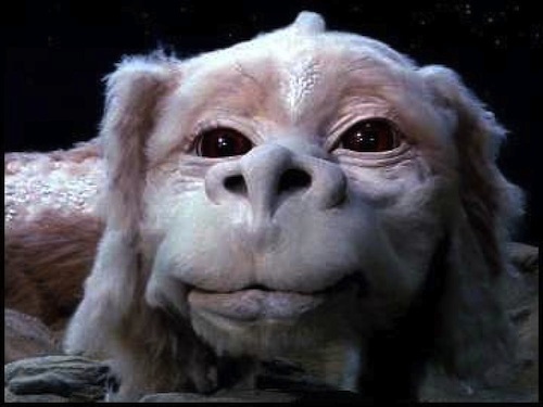 Falkor31July