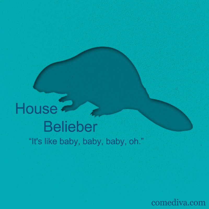 House-of-Beiber