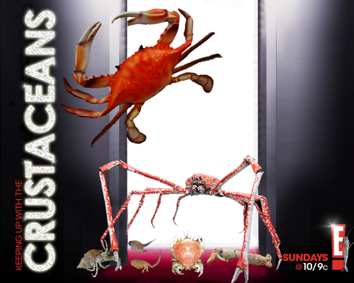 Keeping-Up-with-the-Crustaceans