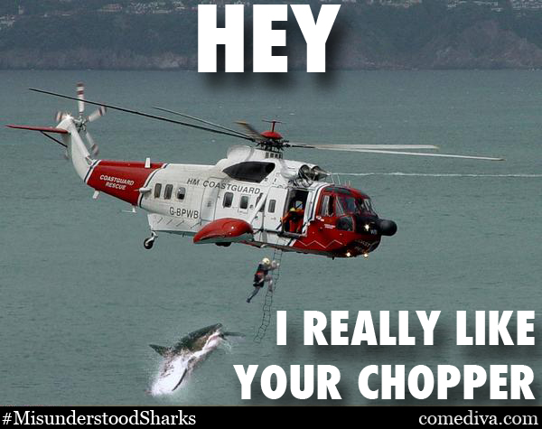SHARKMEME_chopper