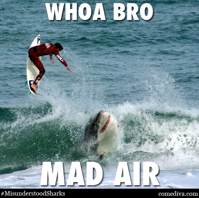 SHARKMEME_madair