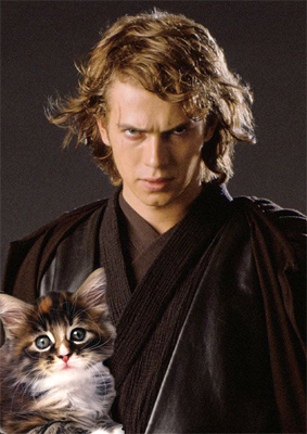 anakin-kittywalker