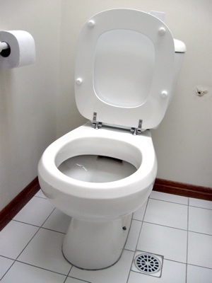 bathroom-toilet_300x400