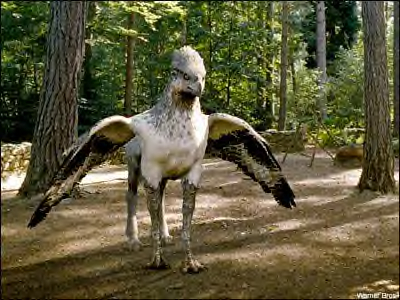 buckbeak_020312