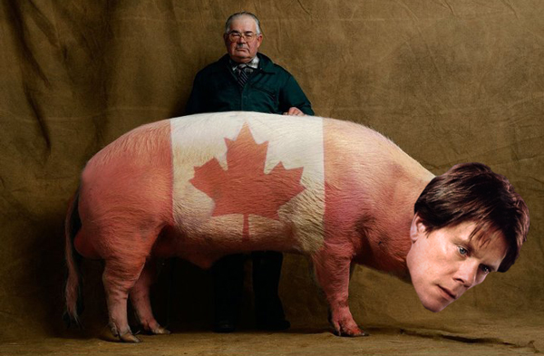 canadian-Bacon