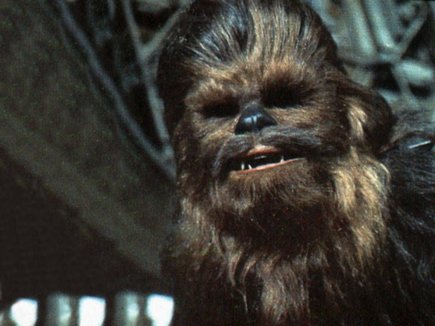 chewbacca_21312