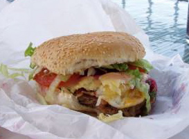 freshman-15_hamburger