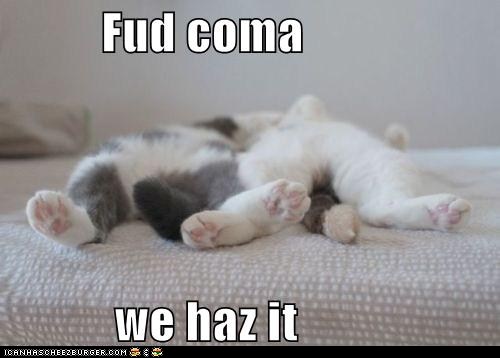 funny-pictures-fud-coma-we-haz-it