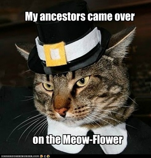 funny-pictures-my-ancestors-came-over