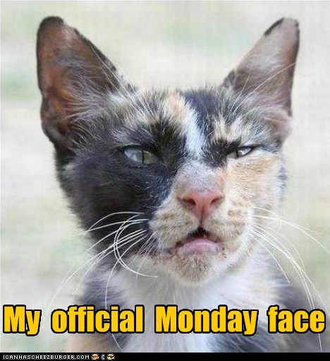 funny-pictures-my-official-monday-face