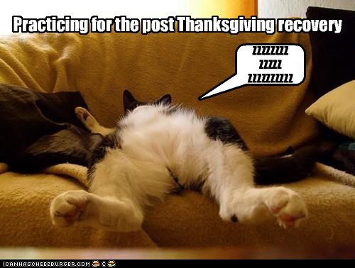 funny-pictures-practicing-for-the-post-thanksgiving-recovery1