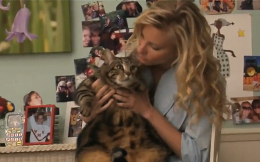 glee_brittany-cat