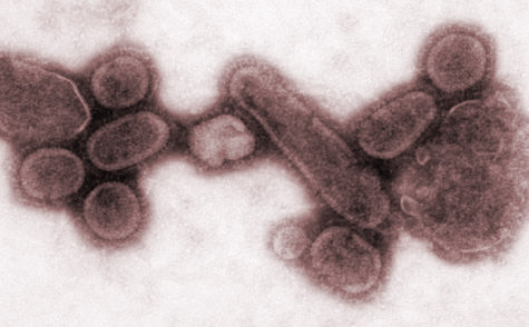 h1n1-zombie-virus
