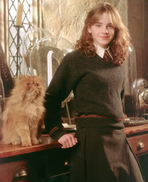 hermione_and_crookshanks