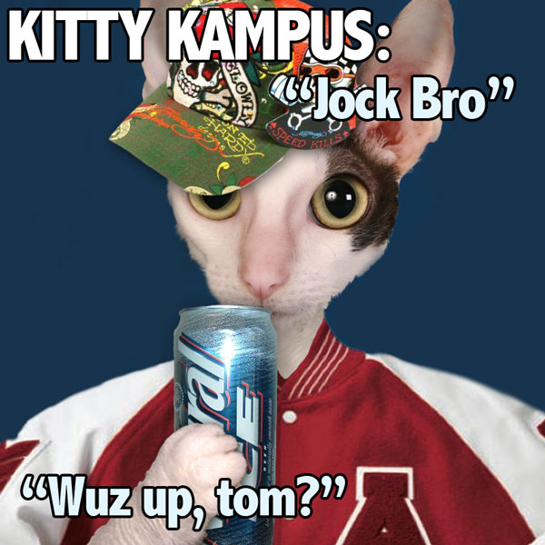 kitty-kampus_bro-cat