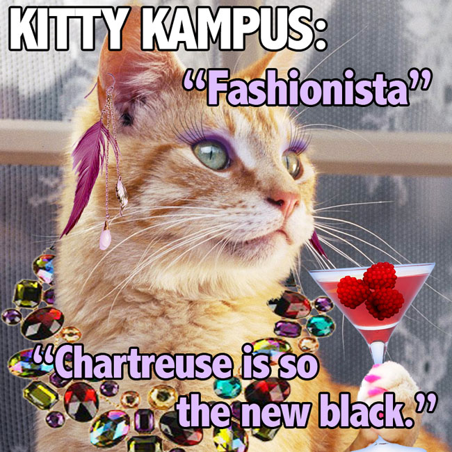 kitty-kampus_fashonista