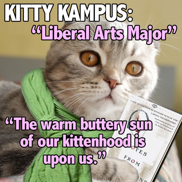 kitty-kampus_grad-student