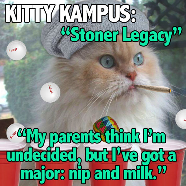 kitty-kampus_legacy