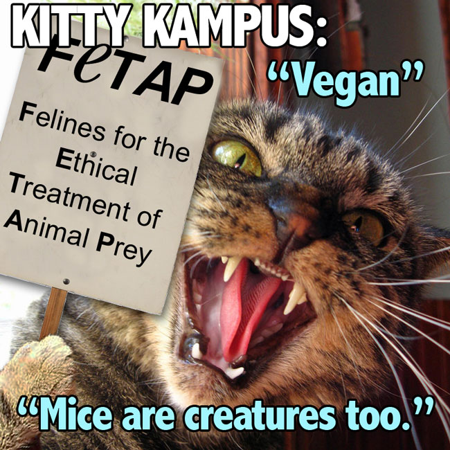 kitty-kampus_vegan