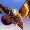 mothra_kaiju_071911