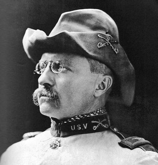 mustache_teddy-roosevelt