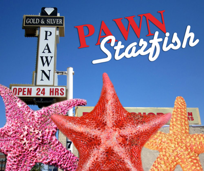 pawn-starfish_sm