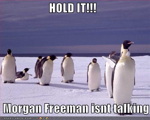 penguinsmorganfreeman_112111