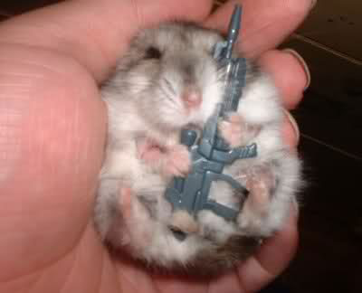 robohamster823