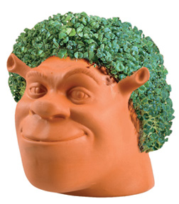 shrekchia_072412