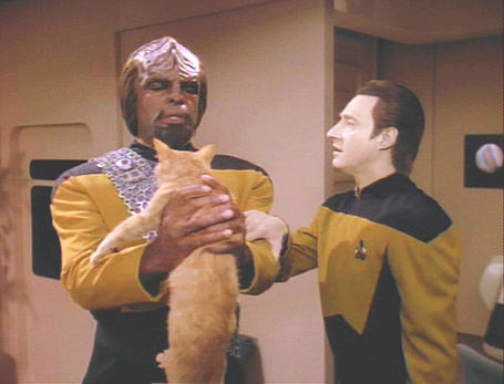 worf_cat