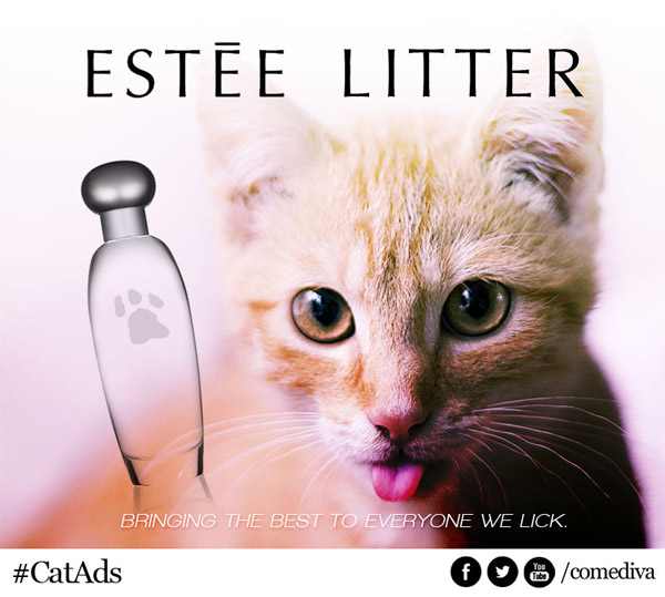 catads_esteelitter