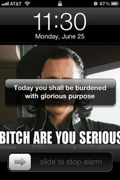 Loki alarm