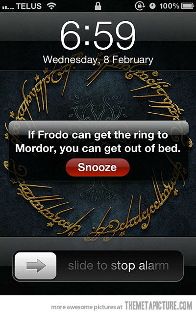 Frodo alarm
