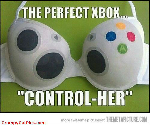 Cool-Original-Bra-For-Gamer-Boyfriends-Cute-Picture