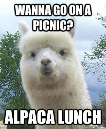 food-pun-alpaca