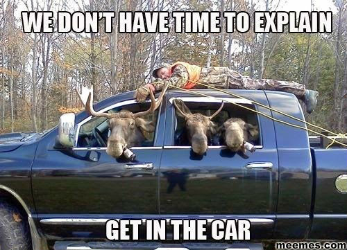 moose-hunting-revenge-get-in-the-car-funny-animal-memes