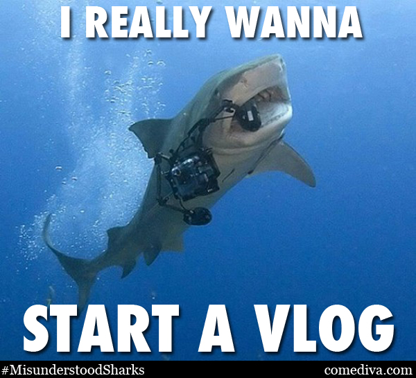 The Misunderstood Shark Meme - Comediva