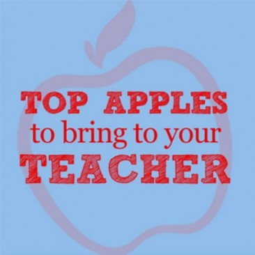 Top Apples to Bring to Your Teacher