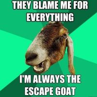 Meme Alert: Goats