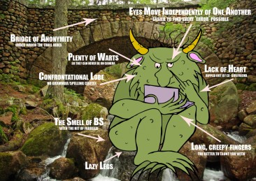 Anatomy of an Internet Troll