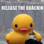 release the quackin duck meme