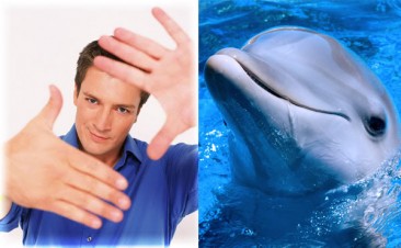 10 Reasons Nathan Fillion Is Like a Dolphin