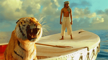 5 Other Tigers for Life of Pi