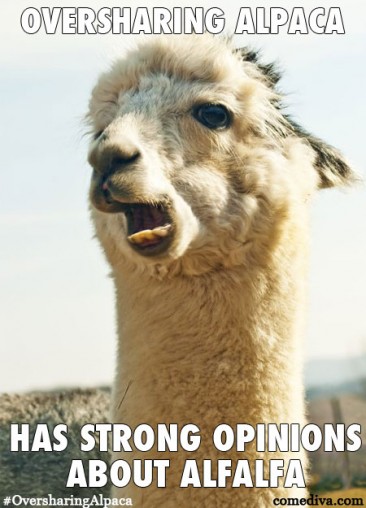 New Meme: Oversharing Alpaca